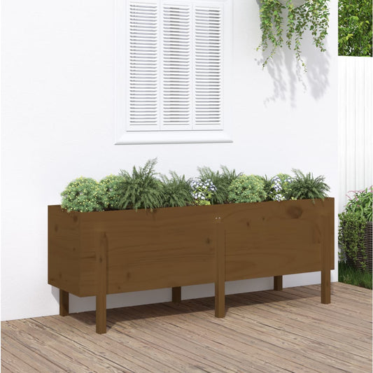 Garden Raised Bed Honey Brown 160x50x57 cm Solid Wood Pine - Pots & Planters